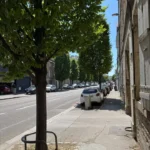 Rue arborée à proximité de La Suite Devosge, quartier calme et résidentiel de Dijon