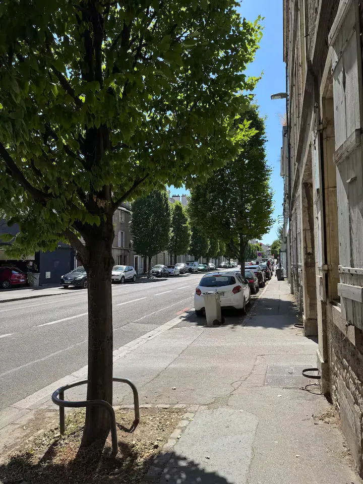 Rue arborée à proximité de La Suite Devosge, quartier calme et résidentiel de Dijon